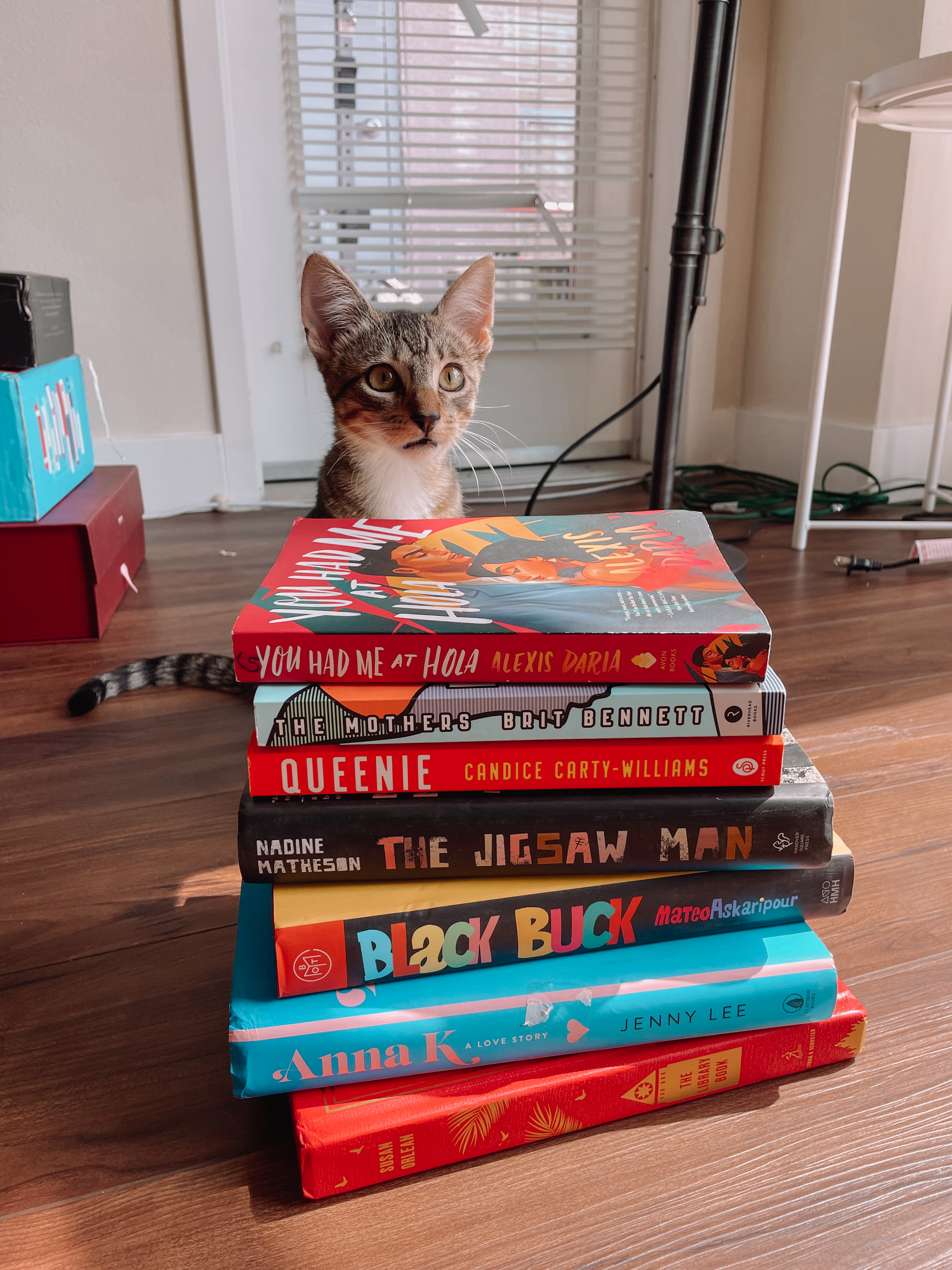 A kitten poses next to a stack of affordable secondhand books in Santa Clara, California.
